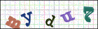 Image Verification